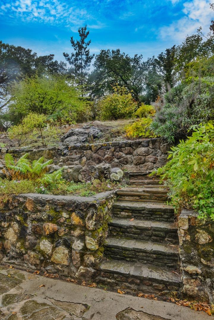 Detail Gallery Image 26 of 40 For 14 Belle Ave, San Rafael,  CA 94901 - 4 Beds | 3 Baths