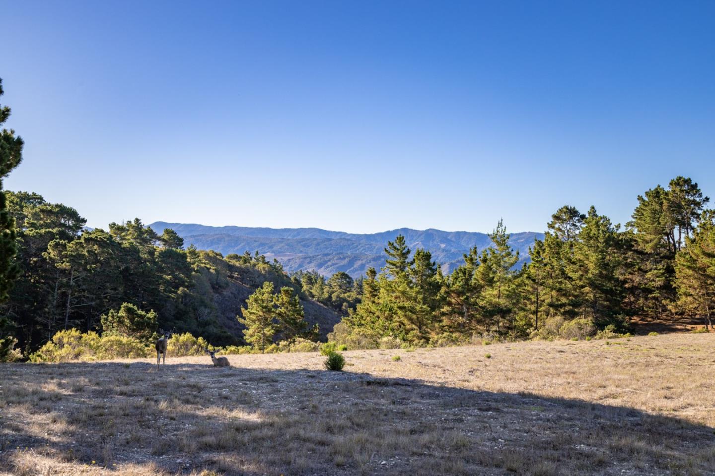 Detail Gallery Image 21 of 21 For 8005 Quatro, Carmel,  CA 93923 - – Beds | – Baths