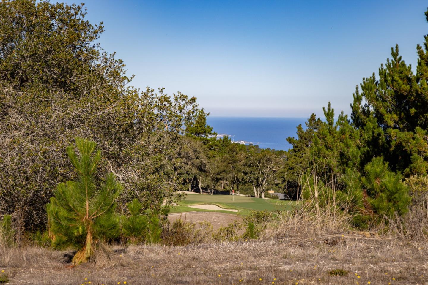 Detail Gallery Image 3 of 21 For 8005 Quatro, Carmel,  CA 93923 - – Beds | – Baths