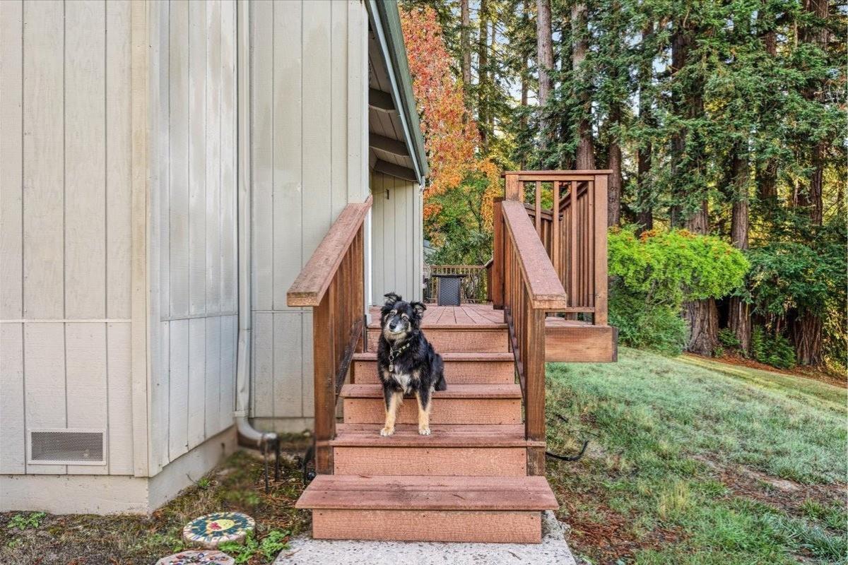 Detail Gallery Image 4 of 52 For 281 Anchor Ct, Boulder Creek,  CA 95006 - 3 Beds | 2 Baths