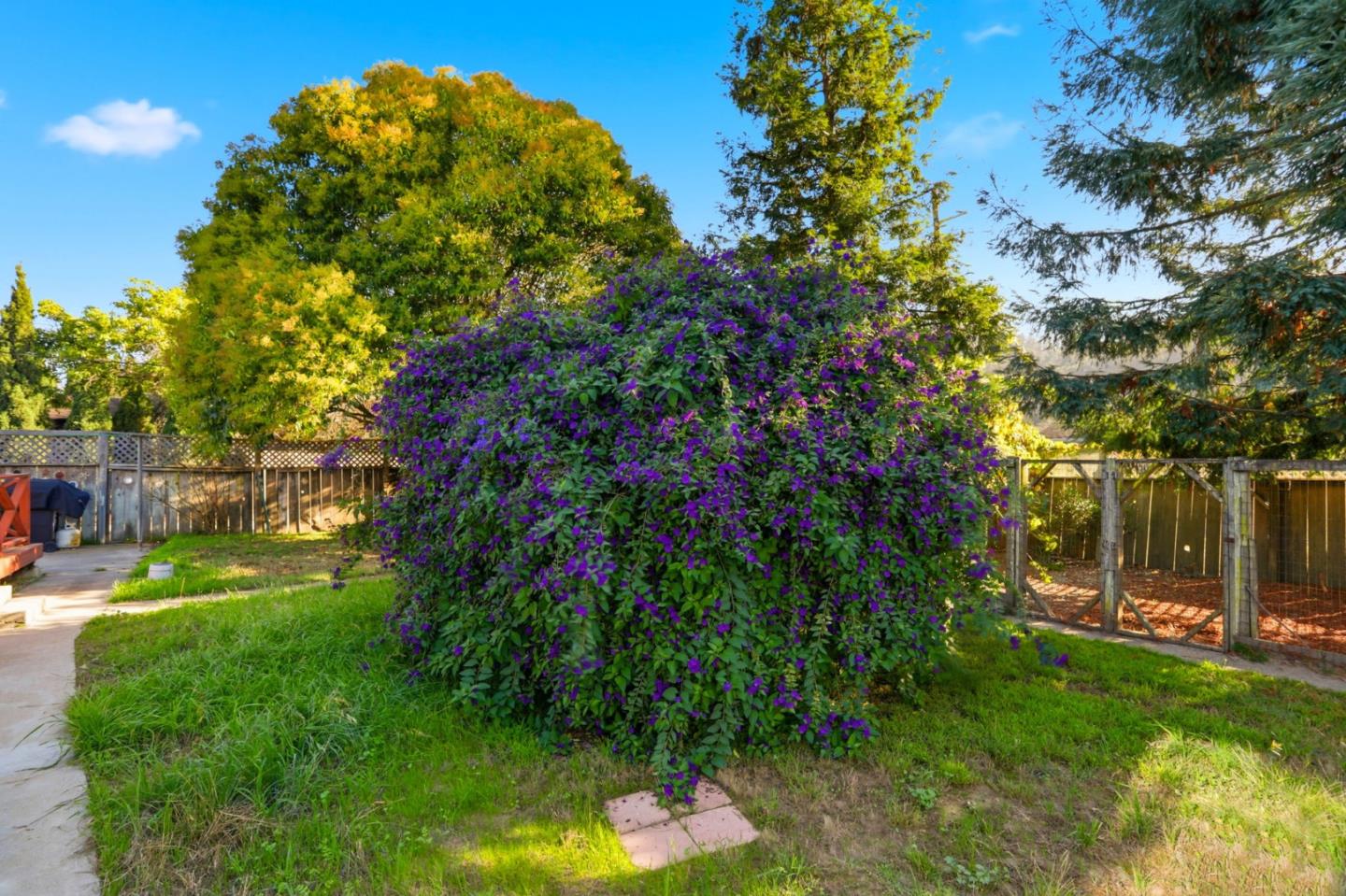 Detail Gallery Image 31 of 34 For 2594 San Juan Rd, Aromas,  CA 95004 - 3 Beds | 2 Baths