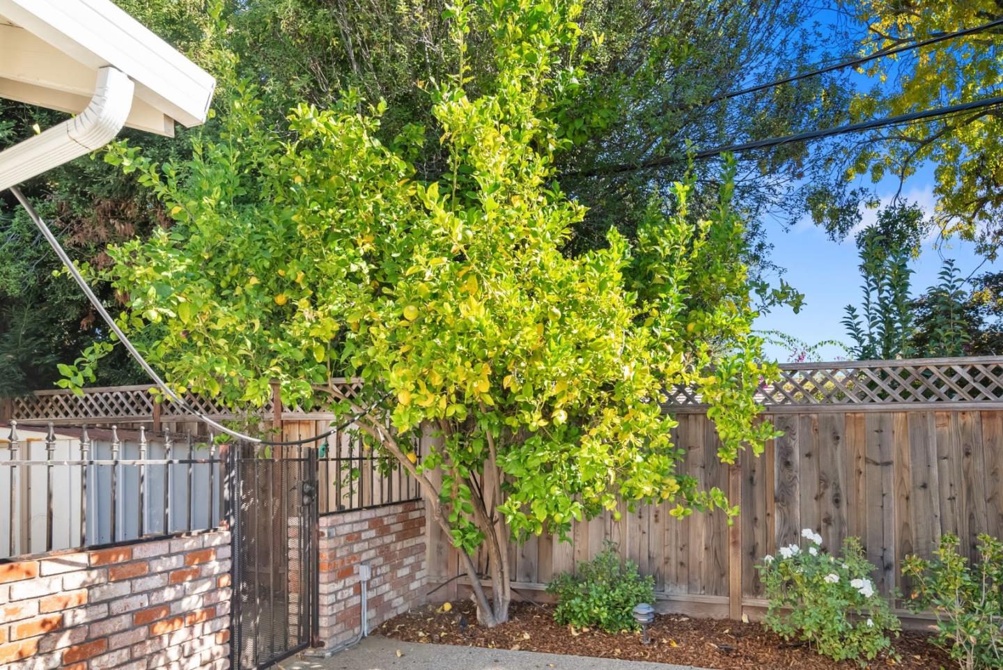 Detail Gallery Image 34 of 39 For 12140 Woodside Dr, Saratoga,  CA 95070 - 4 Beds | 3 Baths