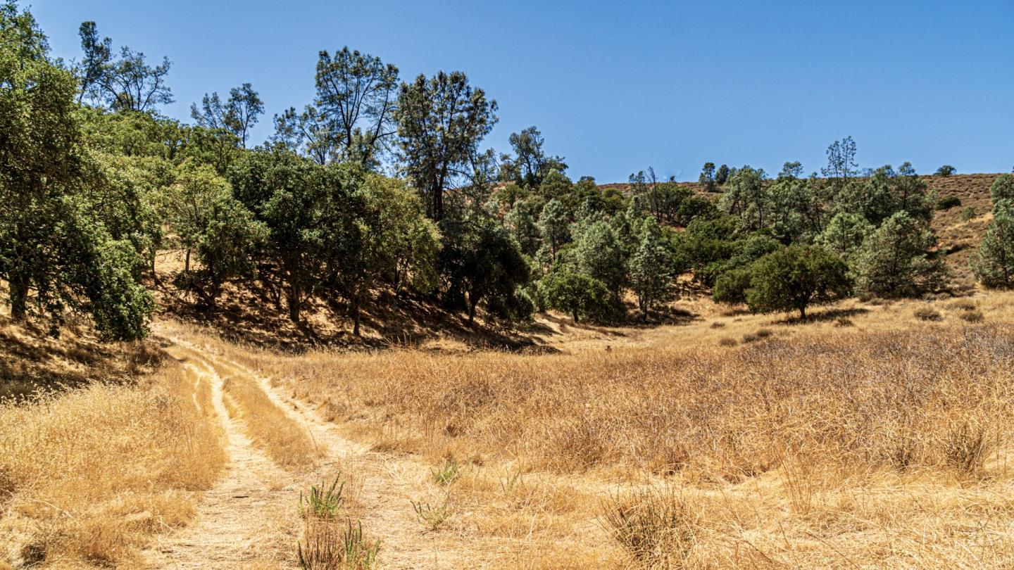 Detail Gallery Image 5 of 17 For 0 Hwy 146, Soledad,  CA 93960 - – Beds | – Baths