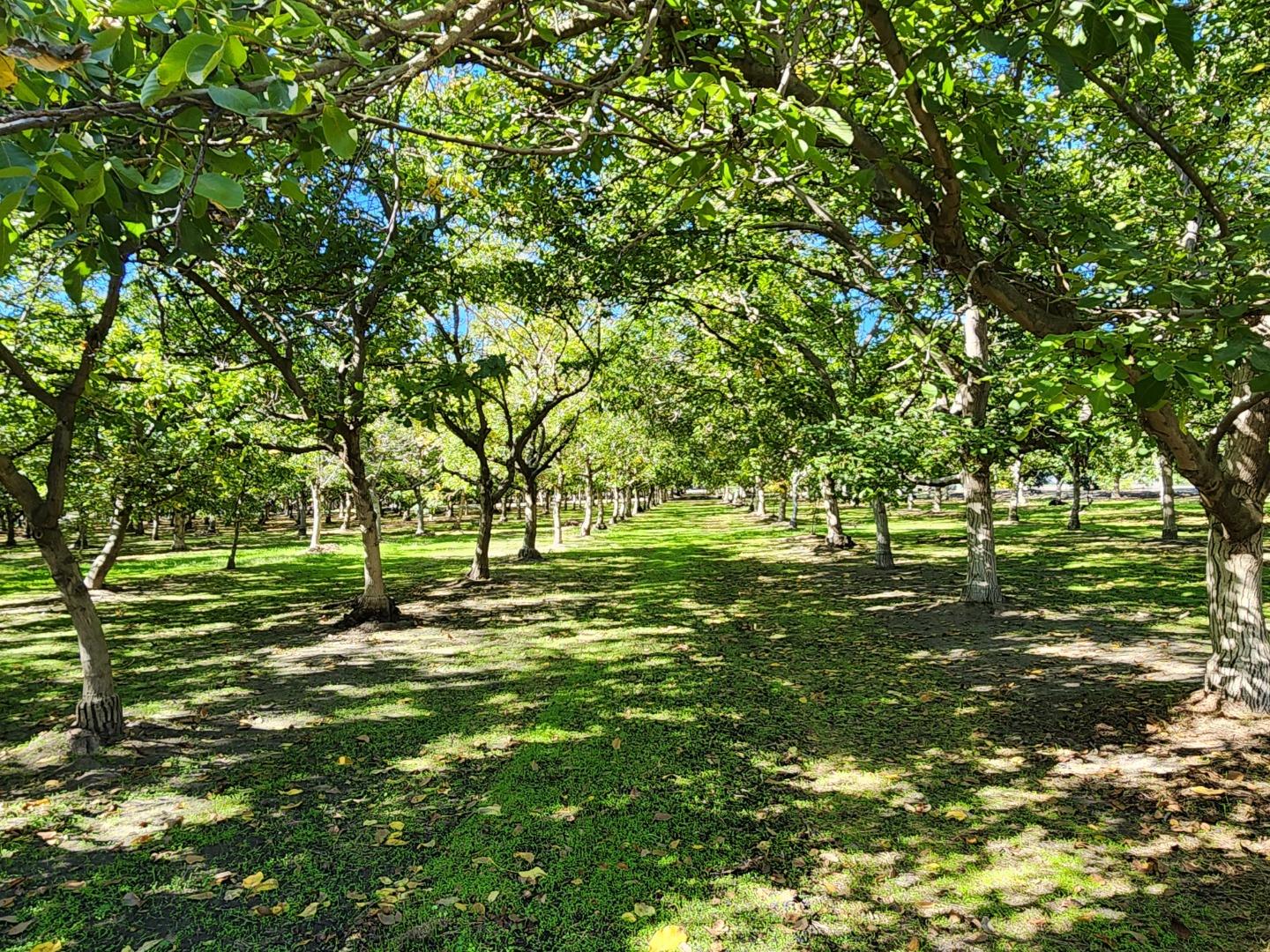 Detail Gallery Image 47 of 47 For 3719 N Hart Rd, Modesto,  CA 95358 - 2 Beds | 2 Baths