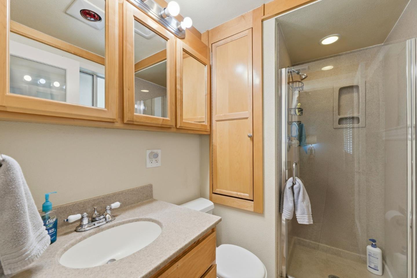 Detail Gallery Image 15 of 19 For 1863 Sarasota Way, San Jose,  CA 95122 - 3 Beds | 2 Baths