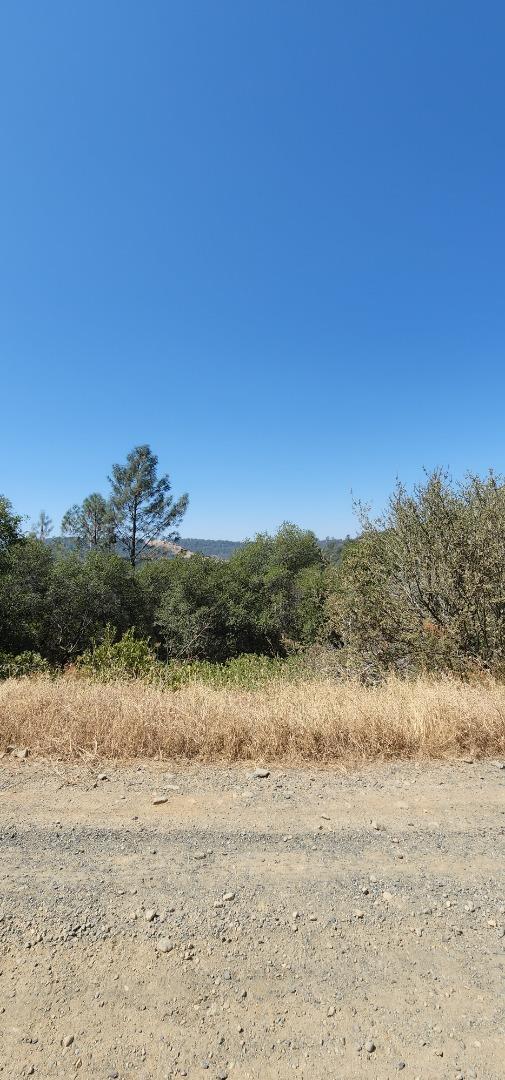 Detail Gallery Image 4 of 4 For N/a N/a, Oroville,  CA 95966 - – Beds | – Baths