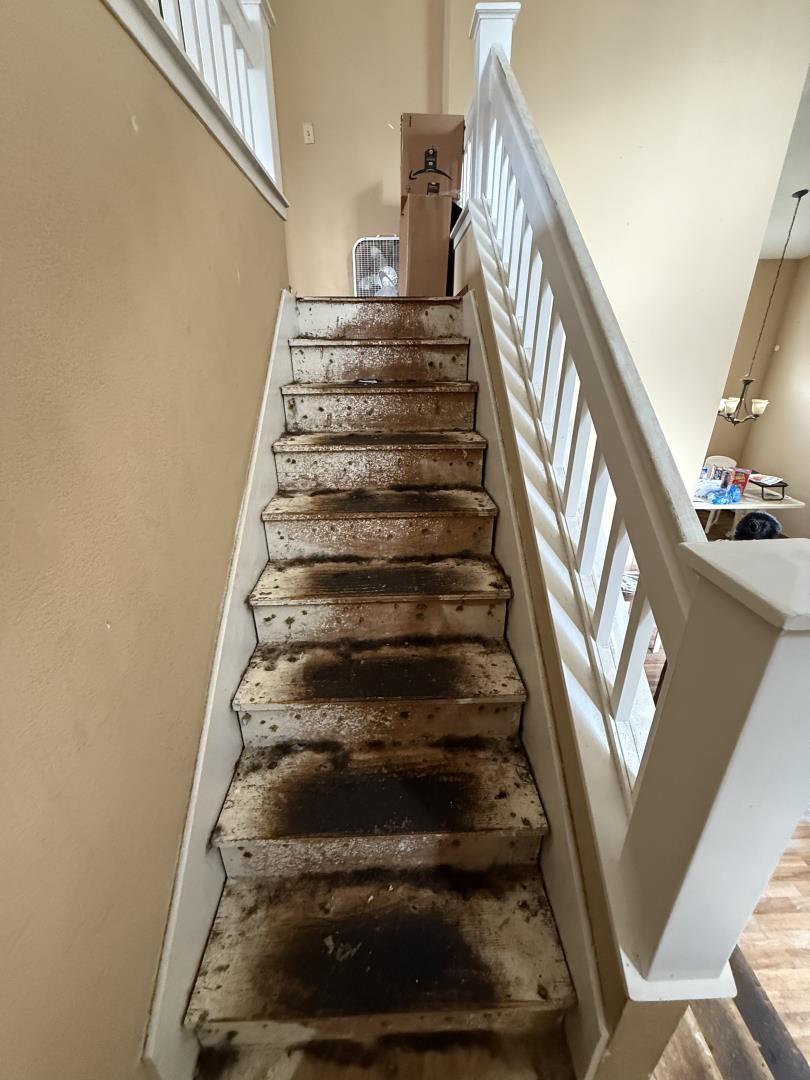 Detail Gallery Image 13 of 15 For 370 Carousel Dr, Vallejo,  CA 94589 - 3 Beds | 2/1 Baths