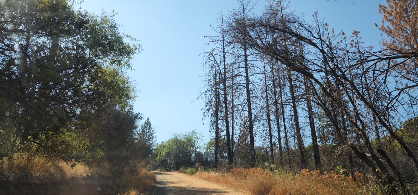 Detail Gallery Image 3 of 4 For N/a N/a, Oroville,  CA 95966 - – Beds | – Baths