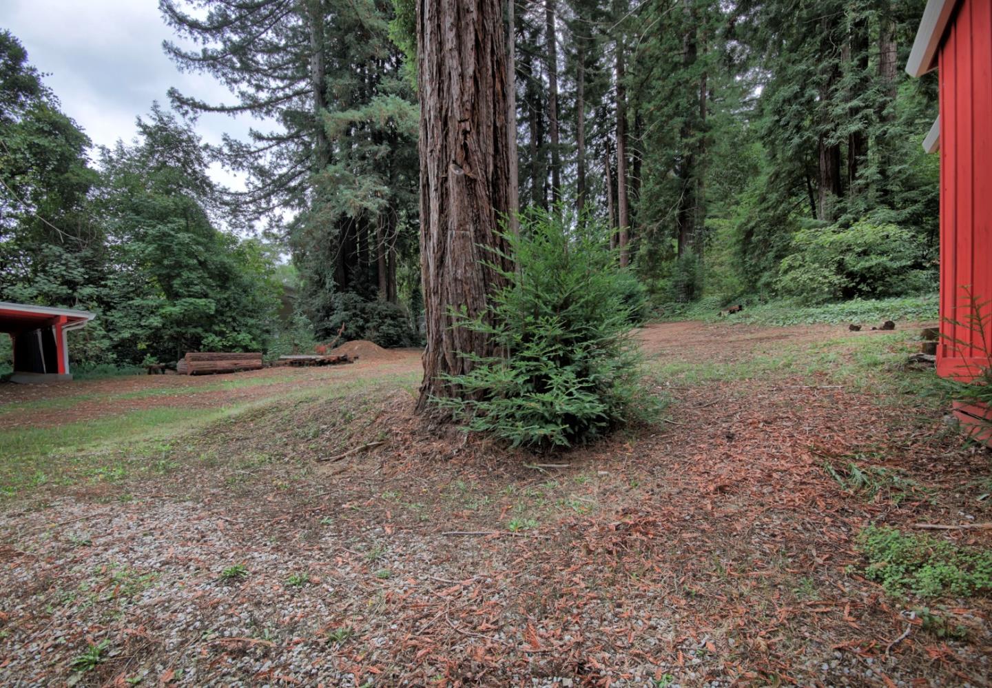 Detail Gallery Image 10 of 32 For 13070 Redwood Ave, Boulder Creek,  CA 95006 - – Beds | – Baths