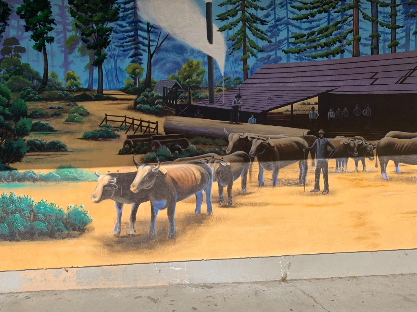 Detail Gallery Image 31 of 32 For 13070 Redwood Ave, Boulder Creek,  CA 95006 - – Beds | – Baths