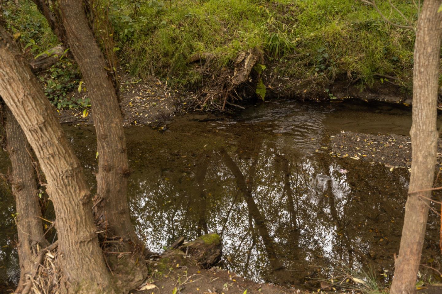 Detail Gallery Image 27 of 38 For 1416 Flores Dr, Pacifica,  CA 94044 - 4 Beds | 3 Baths