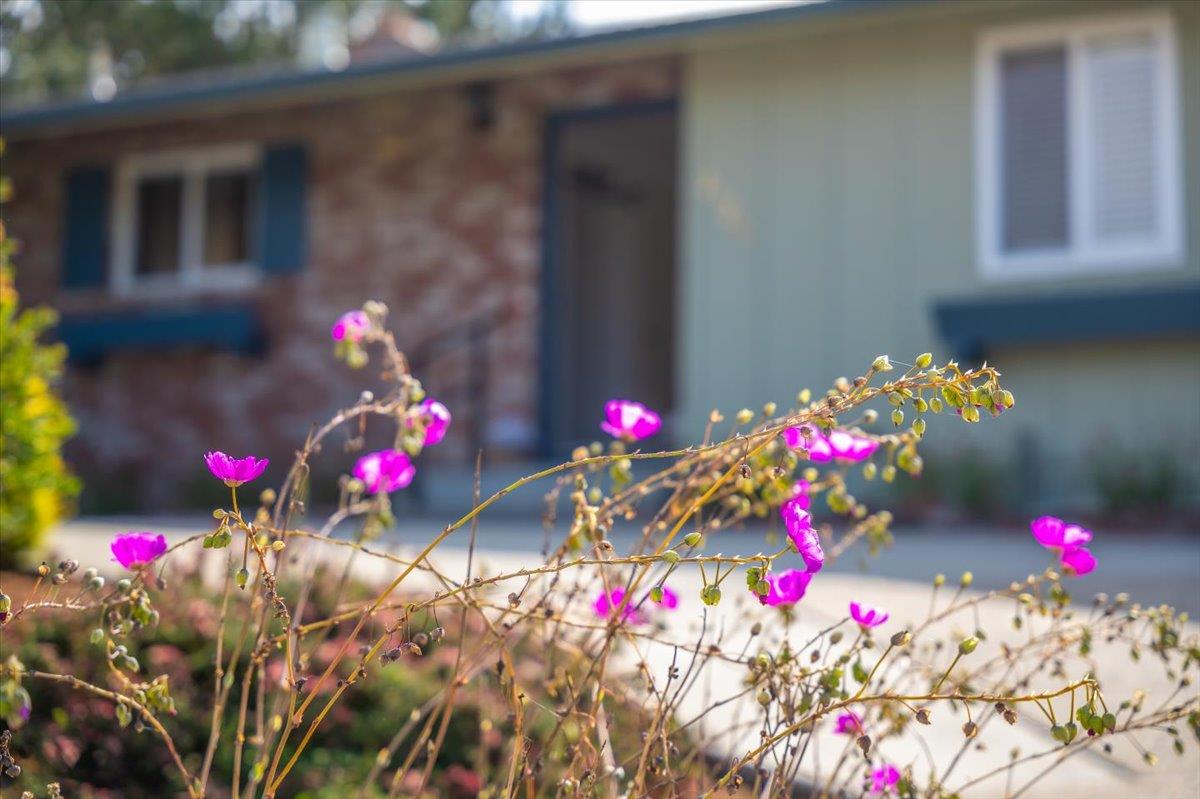 Detail Gallery Image 8 of 70 For 2120 Messina Pl, Monterey,  CA 93940 - 3 Beds | 2 Baths