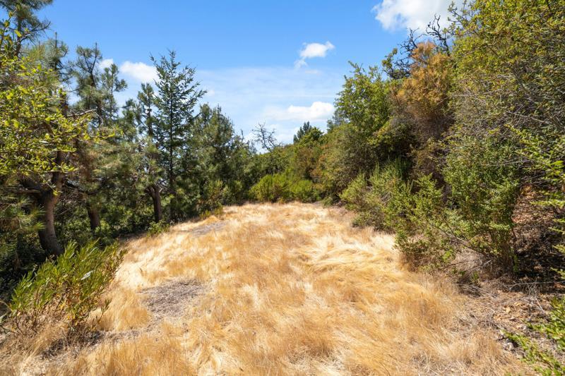 Detail Gallery Image 14 of 20 For 101 Silverline Rd, Los Gatos,  CA 95033 - – Beds | – Baths