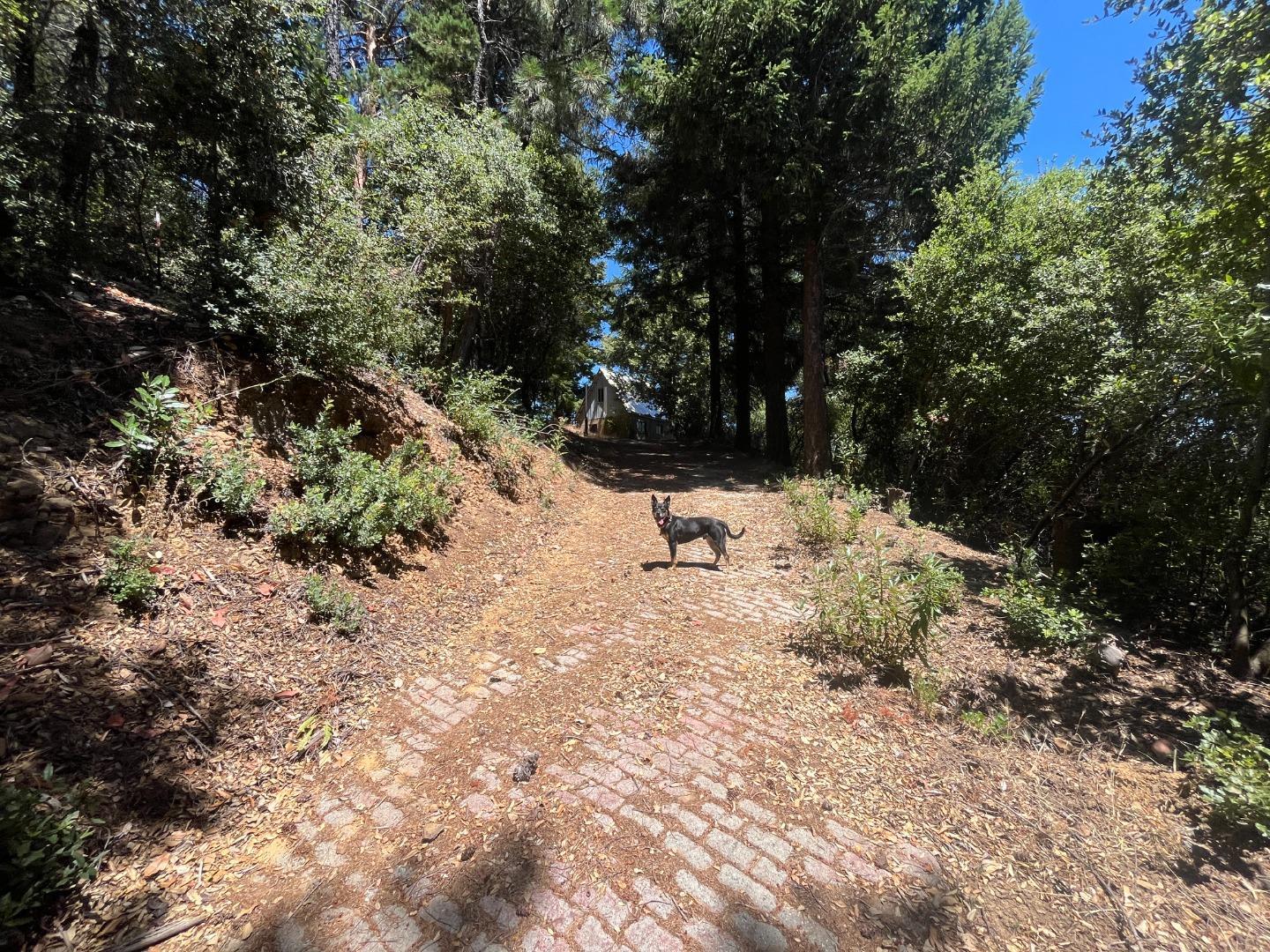 Detail Gallery Image 16 of 20 For 101 Silverline Rd, Los Gatos,  CA 95033 - – Beds | – Baths