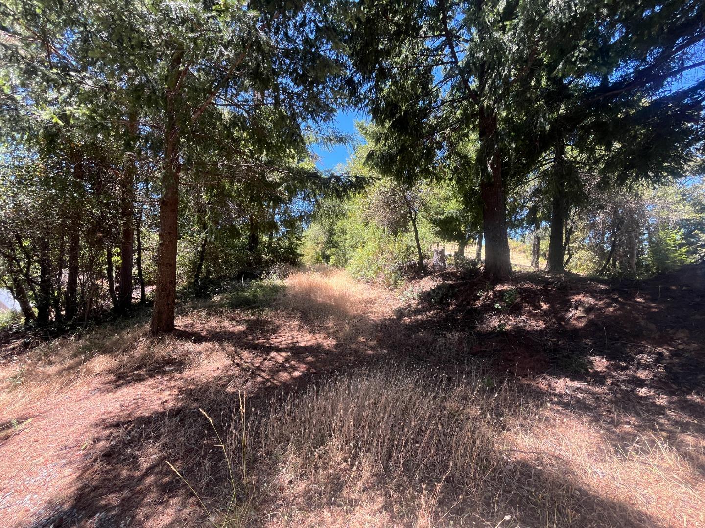 Detail Gallery Image 19 of 20 For 101 Silverline Rd, Los Gatos,  CA 95033 - – Beds | – Baths