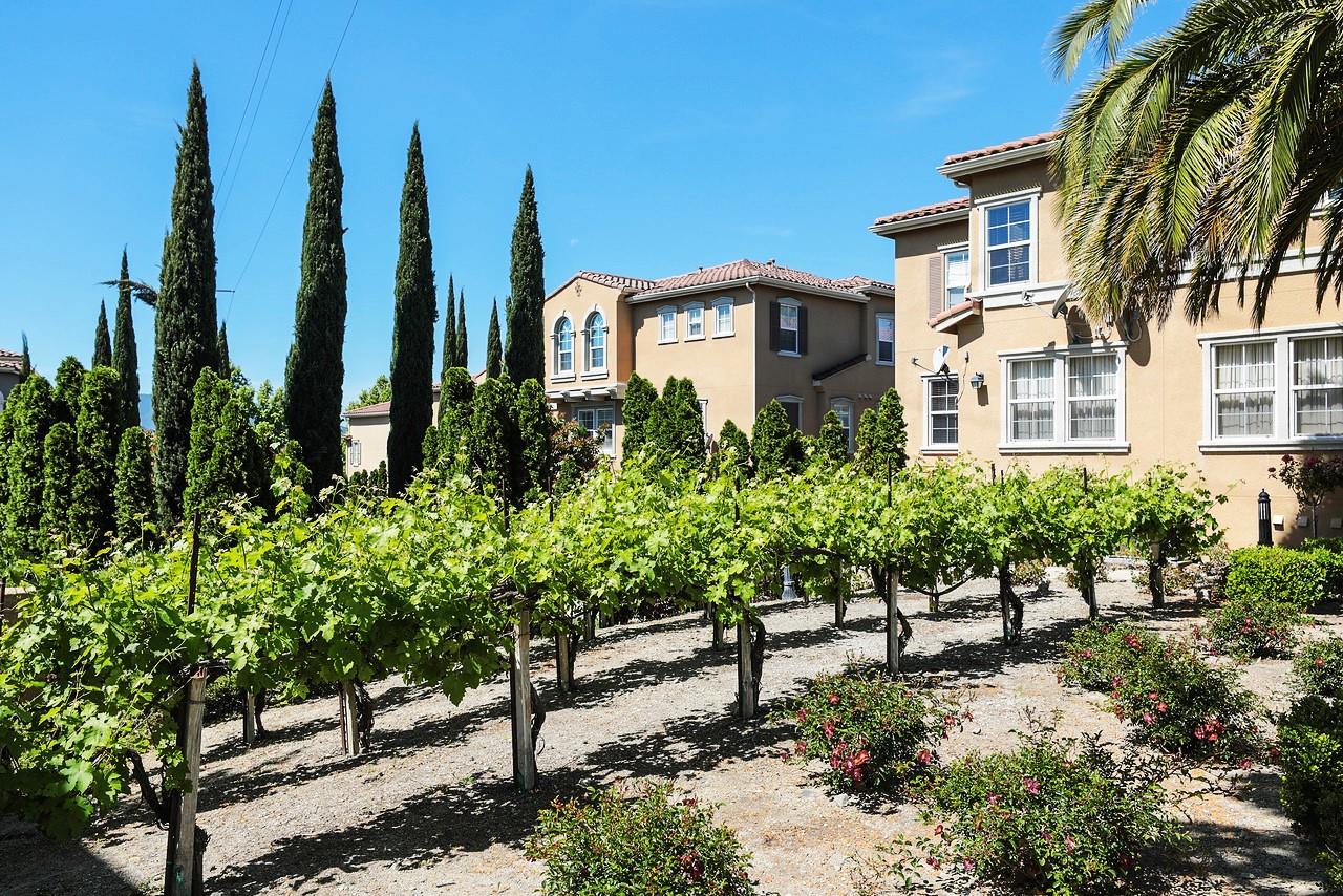 Detail Gallery Image 47 of 53 For 585 Adeline Ave, San Jose,  CA 95136 - 2 Beds | 2 Baths