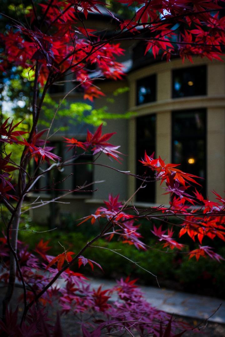 Detail Gallery Image 38 of 47 For 46 Almendral Ave, Atherton,  CA 94027 - 7 Beds | 7/2 Baths