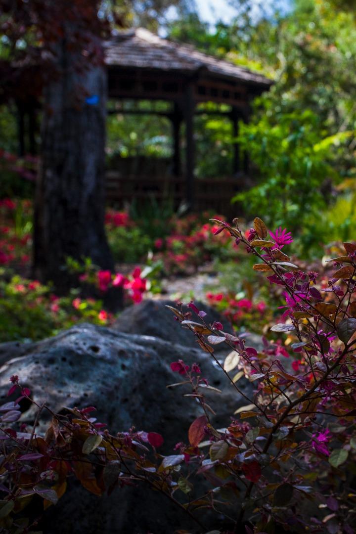 Detail Gallery Image 40 of 47 For 46 Almendral Ave, Atherton,  CA 94027 - 7 Beds | 7/2 Baths