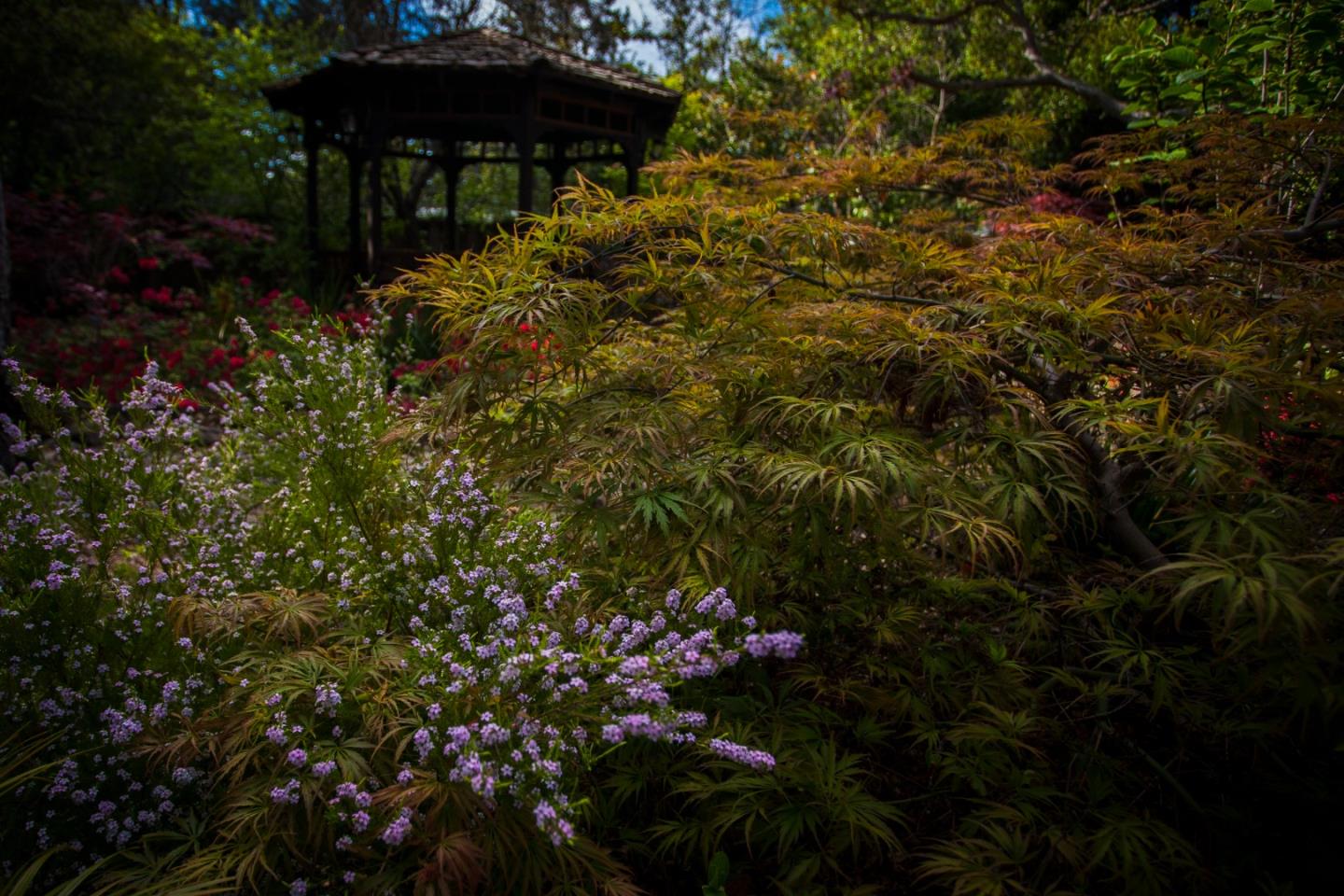 Detail Gallery Image 44 of 47 For 46 Almendral Ave, Atherton,  CA 94027 - 7 Beds | 7/2 Baths