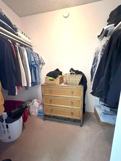 Detail Gallery Image 8 of 14 For 1254 Shelter Creek Ln #254,  San Bruno,  CA 94066 - 0 Beds | 1 Baths