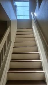 Detail Gallery Image 8 of 19 For 1819 English Bay Ter, San Jose,  CA 95131 - 3 Beds | 2/1 Baths