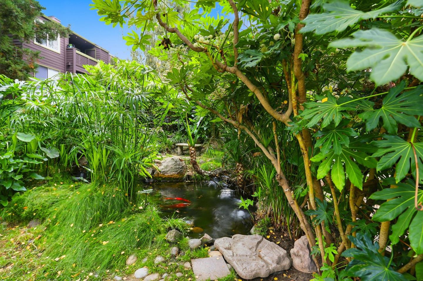 Detail Gallery Image 28 of 35 For 850 Catkin Ct, San Jose,  CA 95128 - 2 Beds | 2 Baths