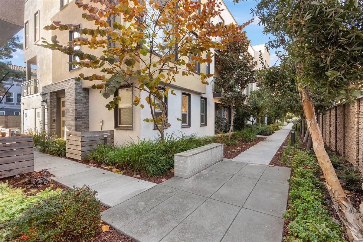 Detail Gallery Image 31 of 34 For 25218 Parklane Dr, Hayward,  CA 94544 - 4 Beds | 3/1 Baths