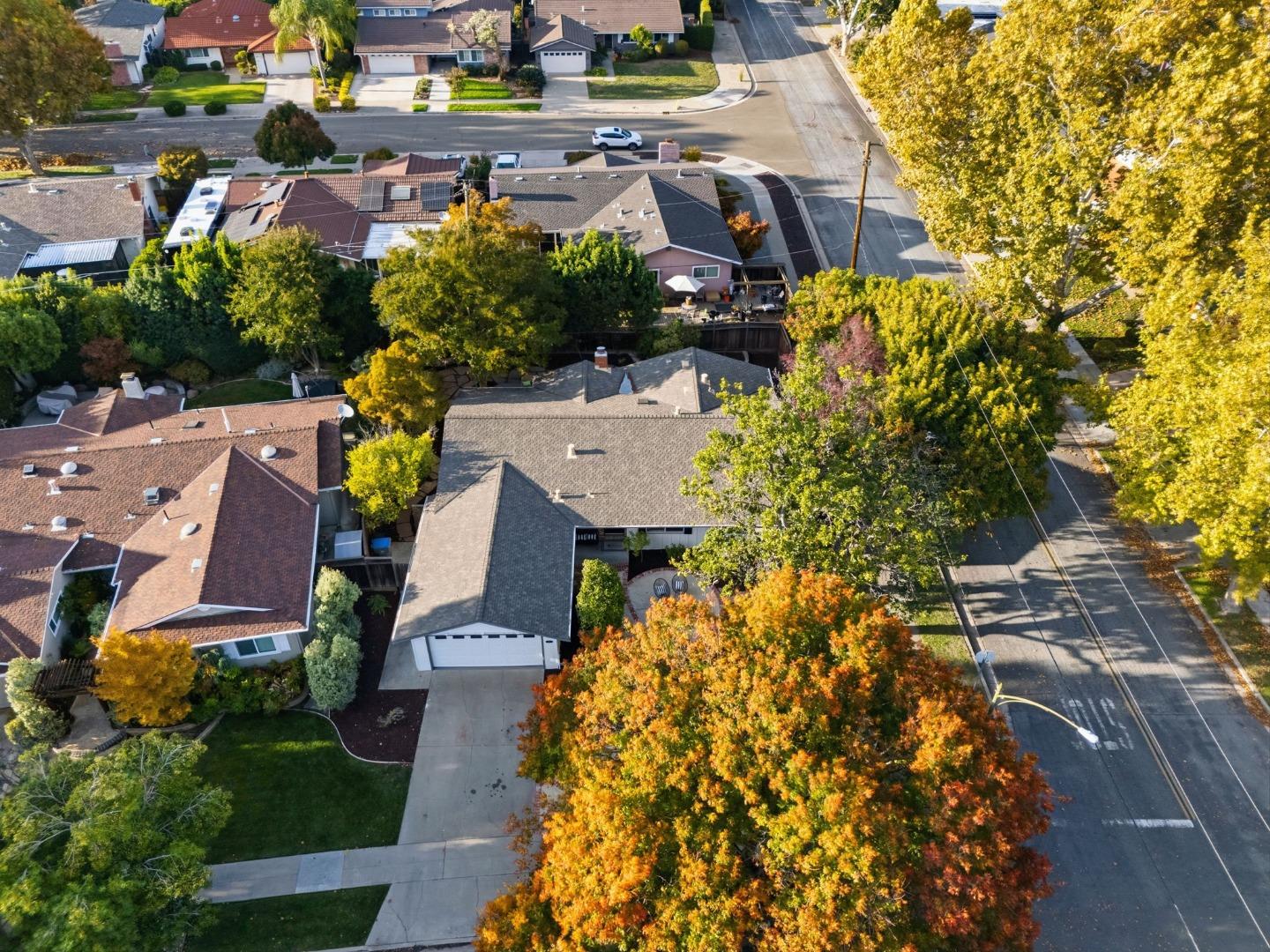 Detail Gallery Image 62 of 66 For 1603 Husted Ave, San Jose,  CA 95125 - 3 Beds | 2 Baths