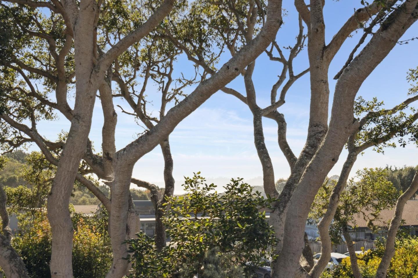 Detail Gallery Image 34 of 58 For 2830 14th Ave, Carmel,  CA 93923 - 3 Beds | 3 Baths