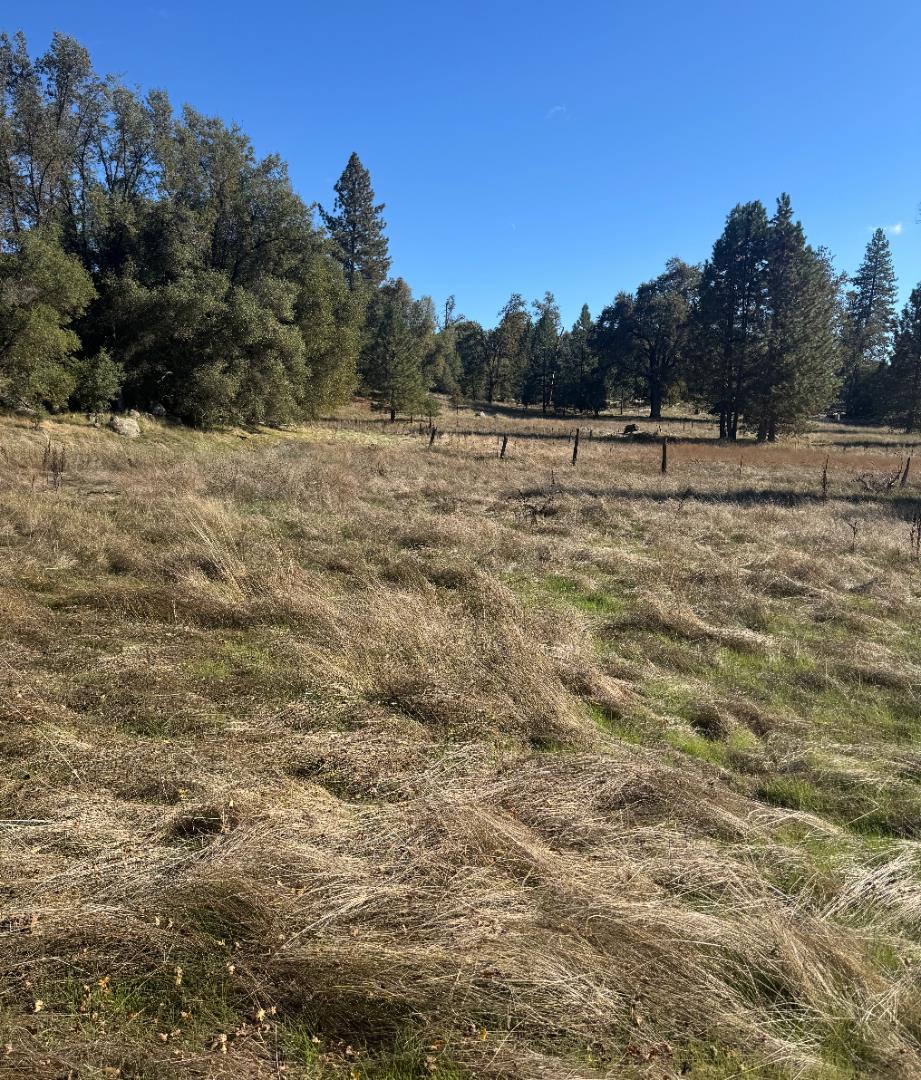 Detail Gallery Image 15 of 16 For 2795 State Highway 49, Mariposa,  CA 95338 - – Beds | – Baths