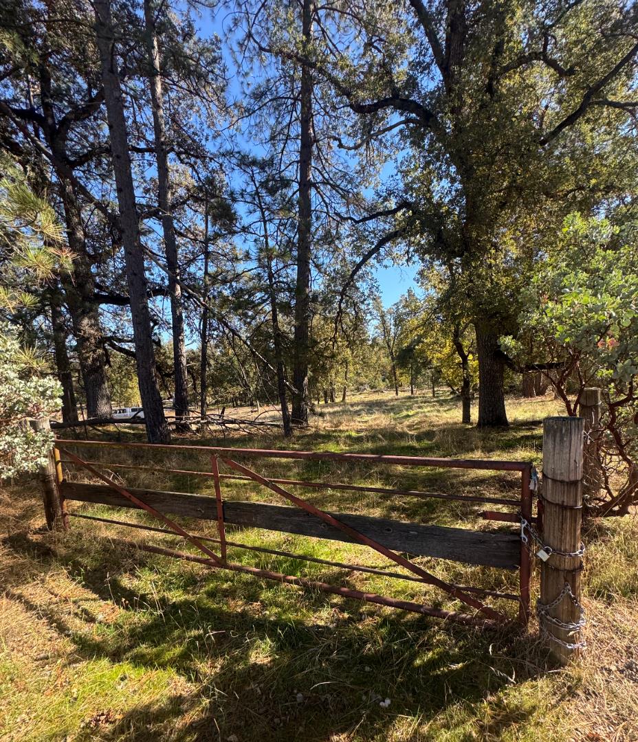 Detail Gallery Image 4 of 16 For 2795 State Highway 49, Mariposa,  CA 95338 - – Beds | – Baths