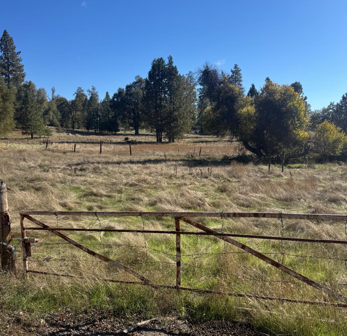 Detail Gallery Image 6 of 16 For 2795 State Highway 49, Mariposa,  CA 95338 - – Beds | – Baths