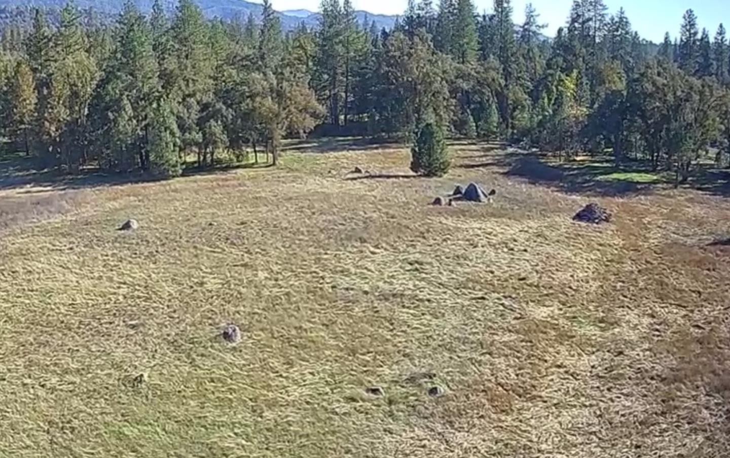 Detail Gallery Image 7 of 16 For 2795 State Highway 49, Mariposa,  CA 95338 - – Beds | – Baths