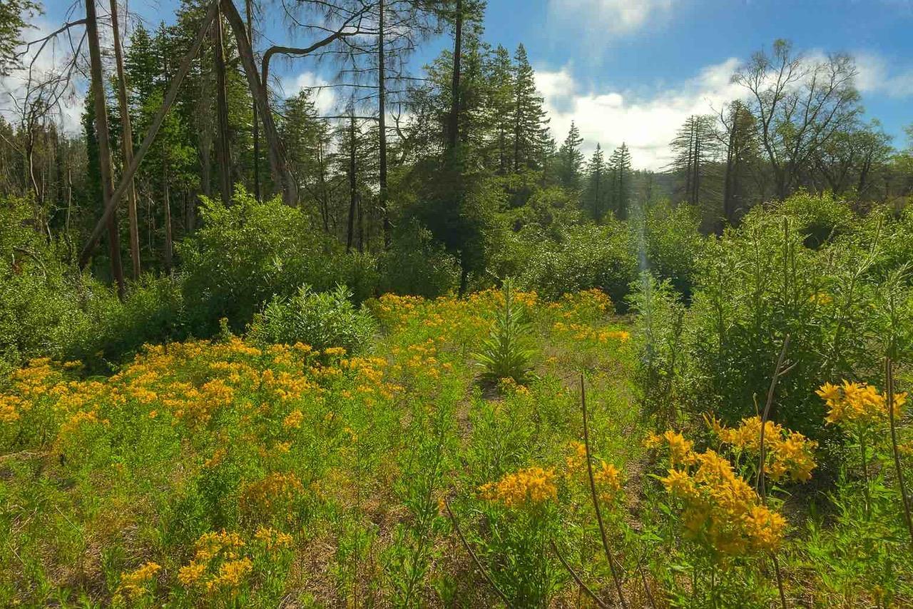 Detail Gallery Image 5 of 6 For Address Not Disclosed, Santa Cruz,  CA 95060 - 3 Beds | 2 Baths