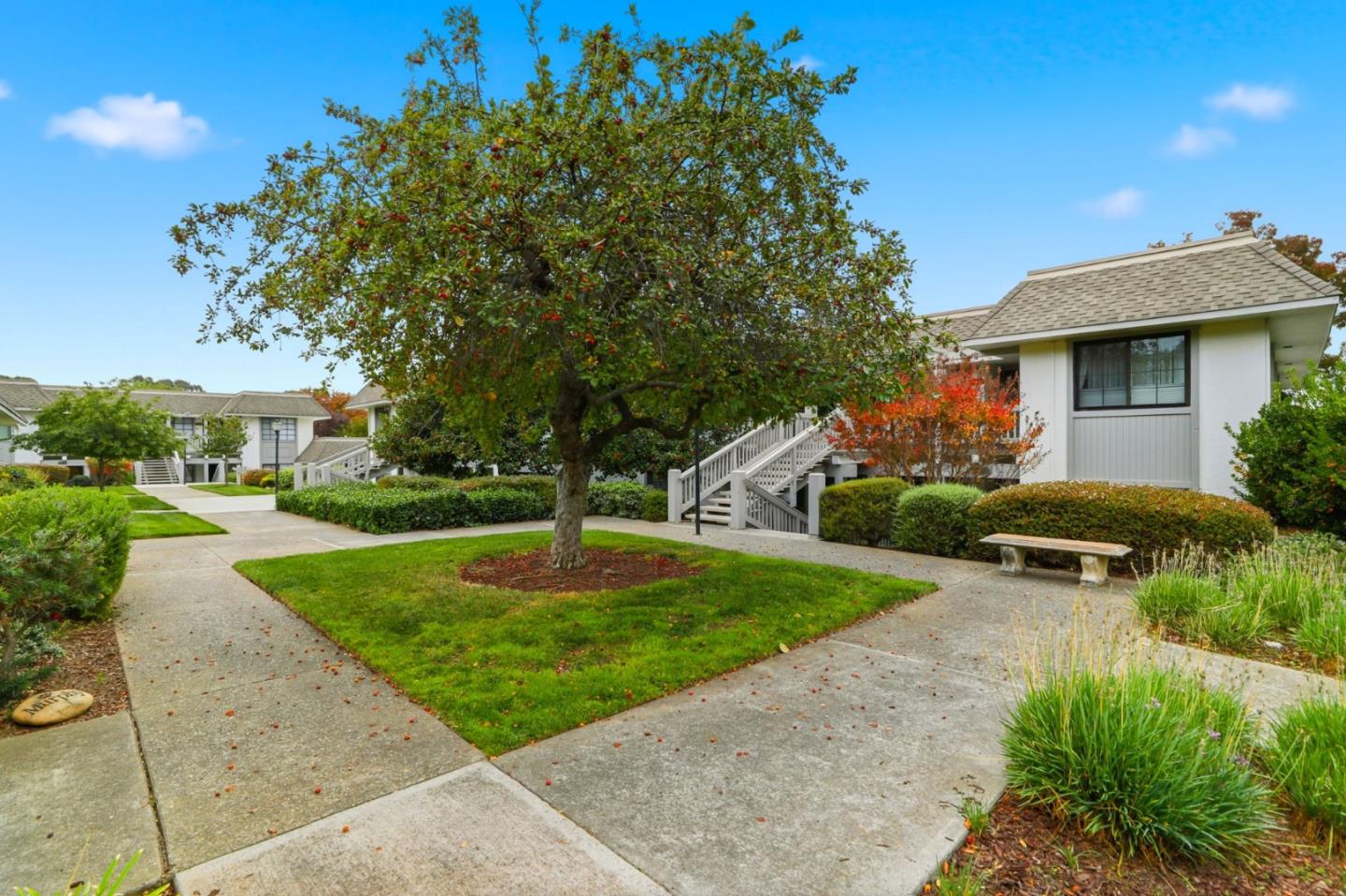 Detail Gallery Image 22 of 33 For 5065 Cribari Bluffs, San Jose,  CA 95135 - 2 Beds | 2 Baths