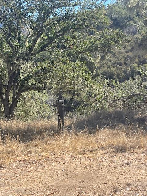 Detail Gallery Image 3 of 6 For 0 Cachagua Rd, Carmel Valley,  CA 93924 - – Beds | – Baths