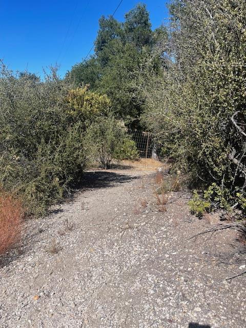 Detail Gallery Image 4 of 6 For 0 Cachagua Rd, Carmel Valley,  CA 93924 - – Beds | – Baths