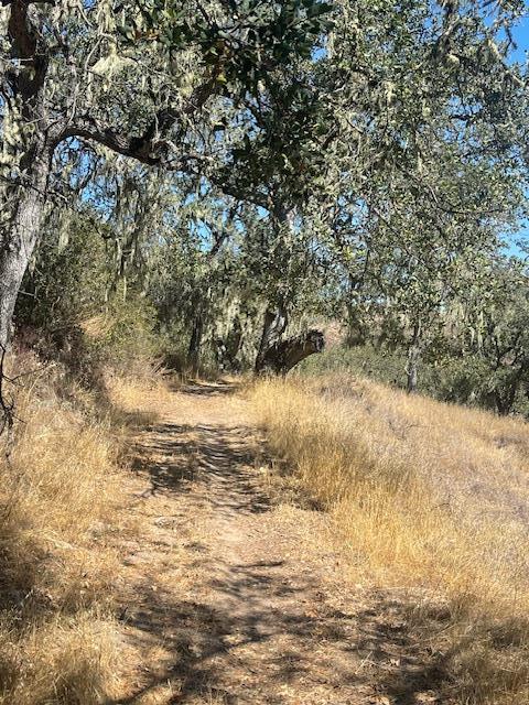 Detail Gallery Image 5 of 6 For 0 Cachagua Rd, Carmel Valley,  CA 93924 - – Beds | – Baths