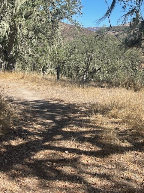 Detail Gallery Image 6 of 6 For 0 Cachagua Rd, Carmel Valley,  CA 93924 - – Beds | – Baths