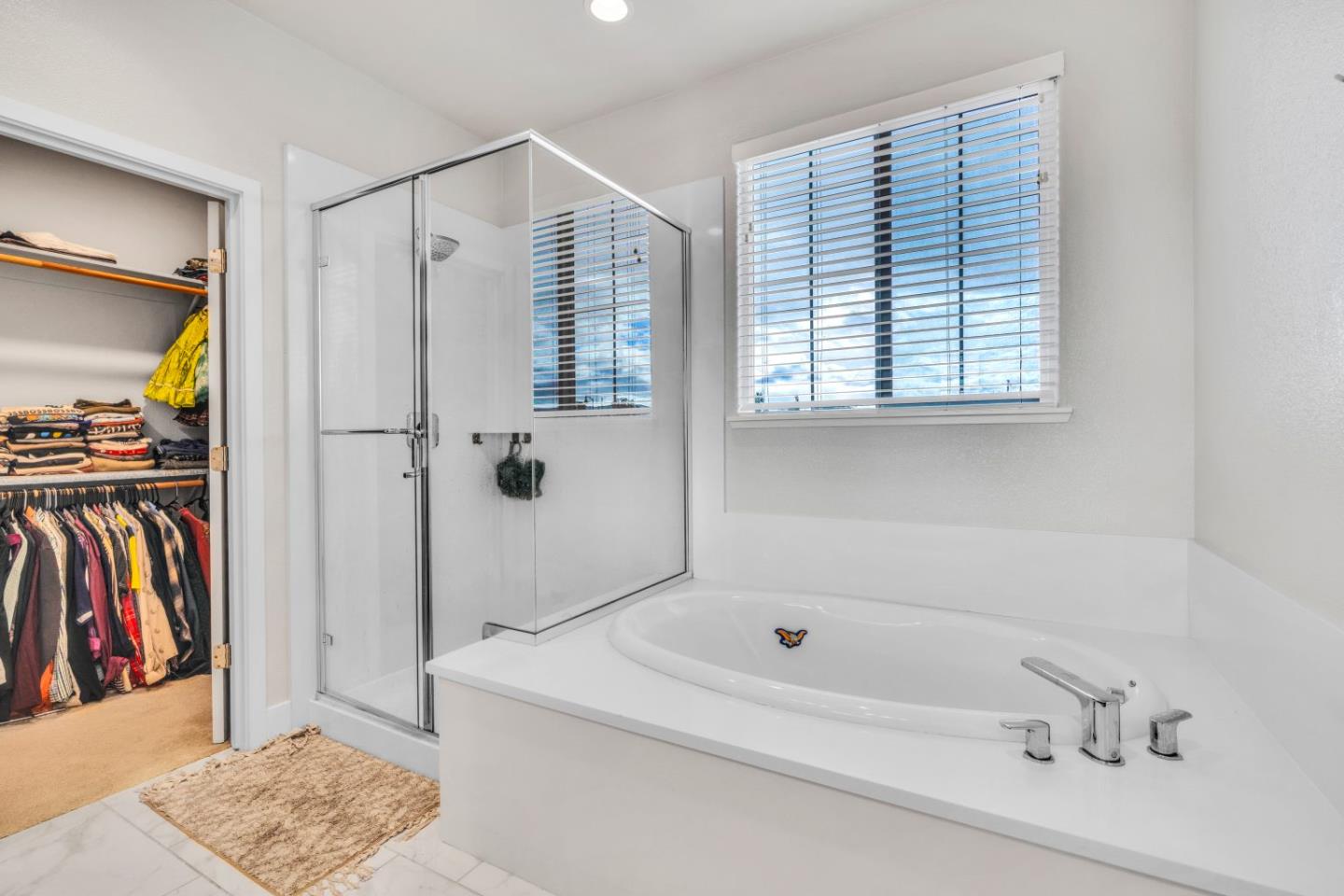 Detail Gallery Image 35 of 41 For 344 W Hopkins Ct, Mountain House,  CA 95391 - 4 Beds | 3 Baths