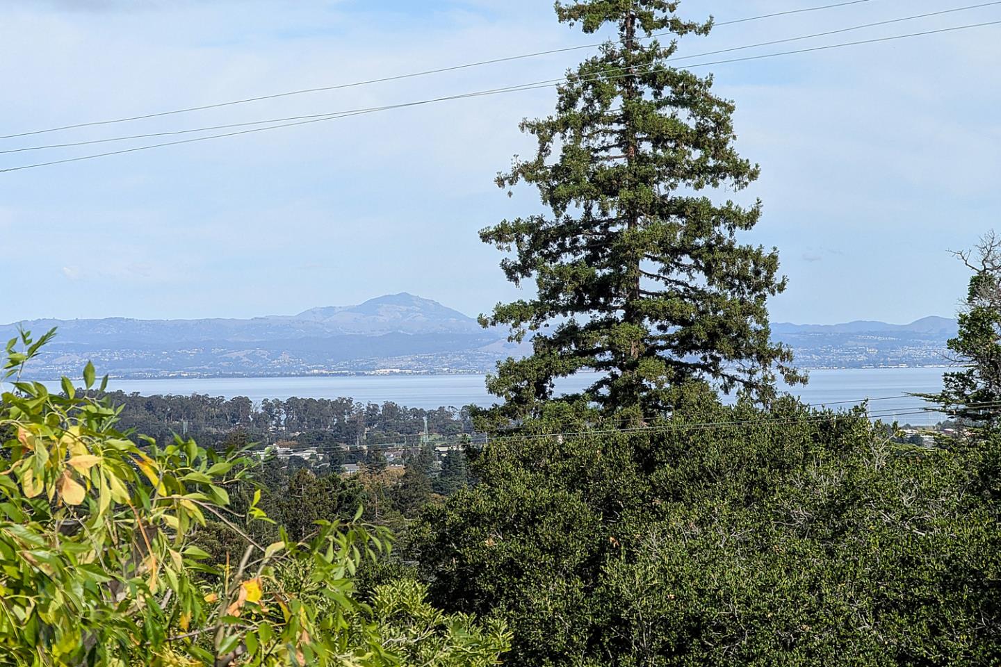 Detail Gallery Image 3 of 52 For 442 El Arroyo Rd, Hillsborough,  CA 94010 - 3 Beds | 3/1 Baths