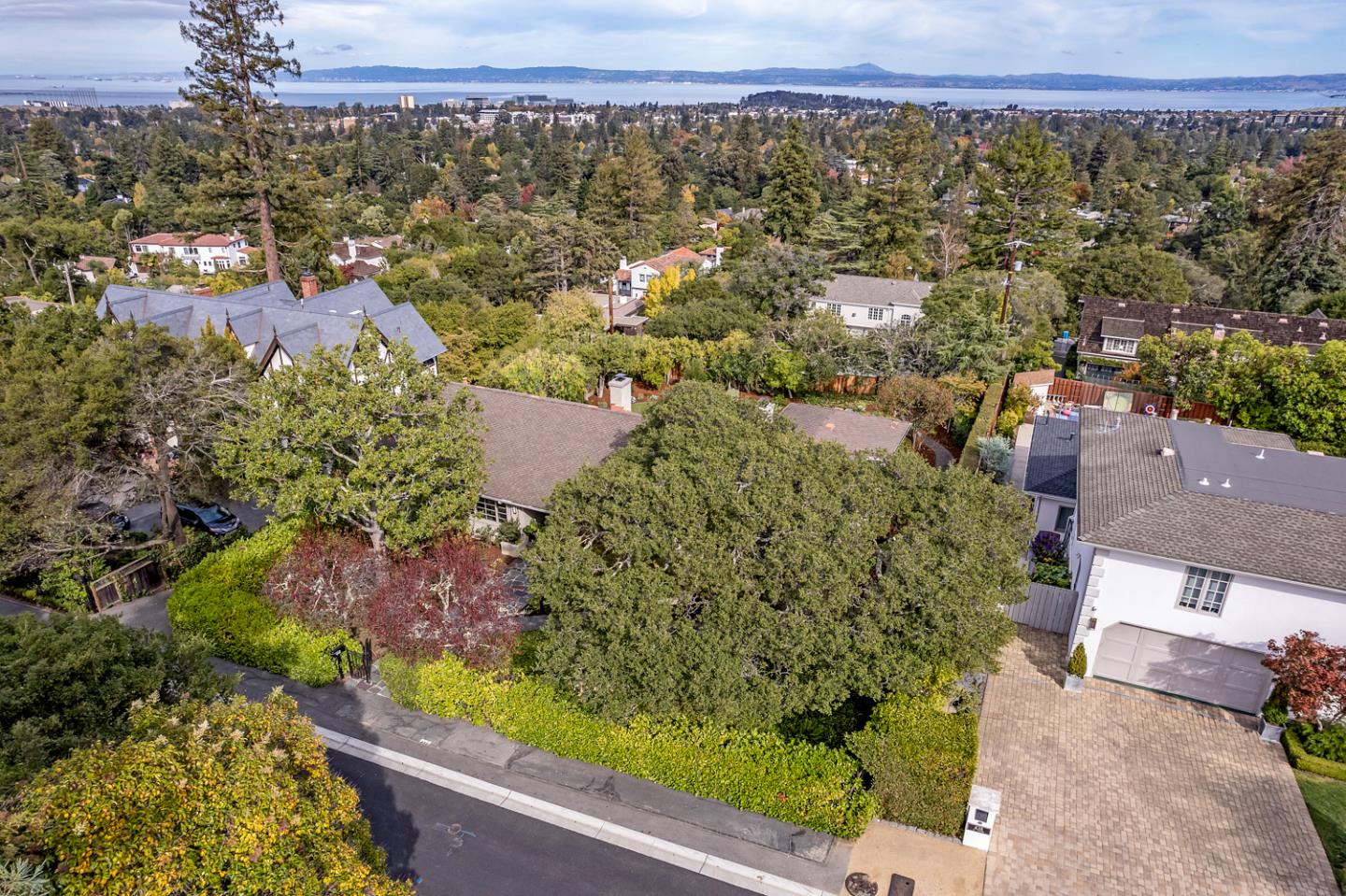 Detail Gallery Image 40 of 52 For 442 El Arroyo Rd, Hillsborough,  CA 94010 - 3 Beds | 3/1 Baths