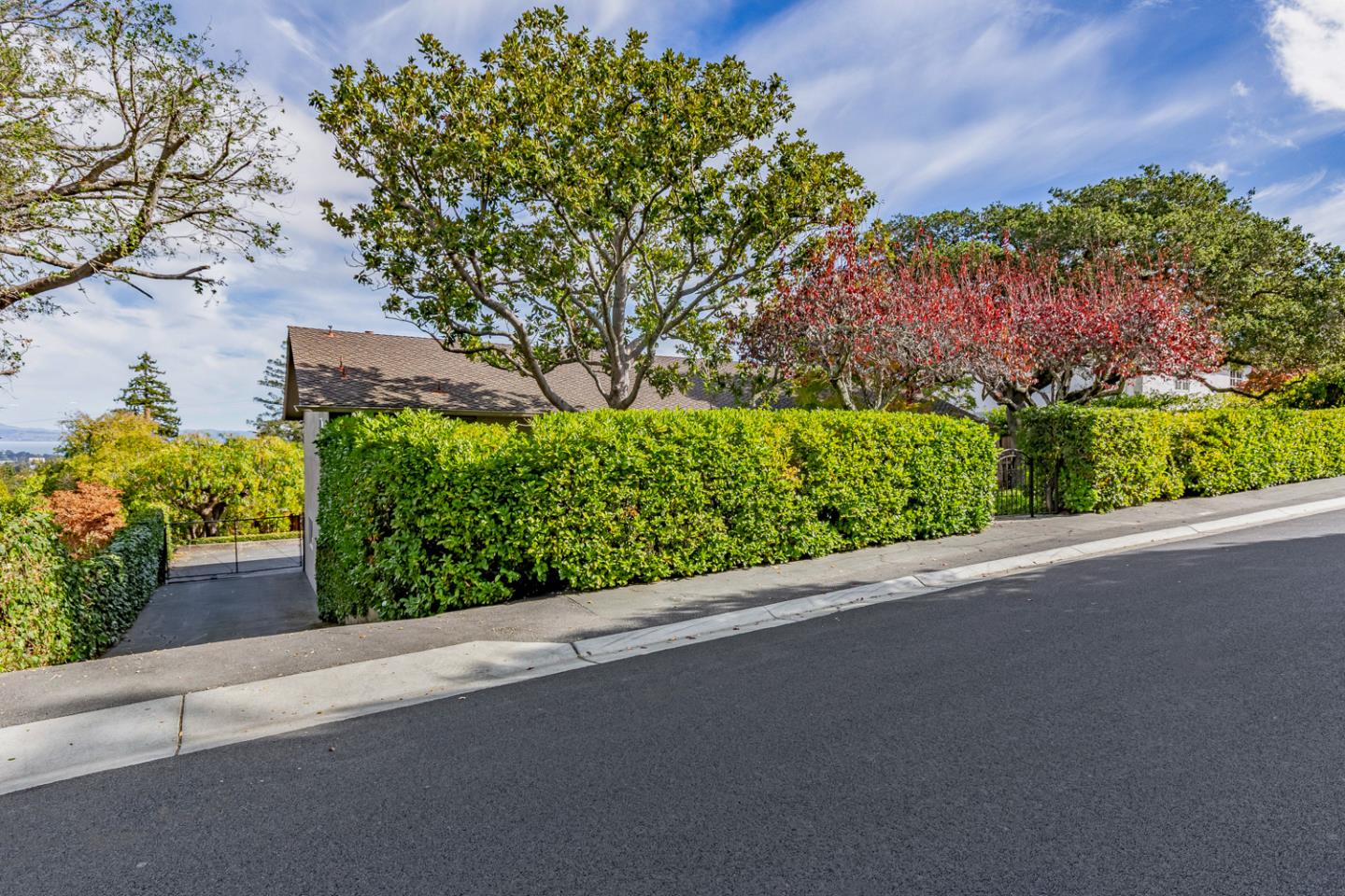 Detail Gallery Image 47 of 52 For 442 El Arroyo Rd, Hillsborough,  CA 94010 - 3 Beds | 3/1 Baths