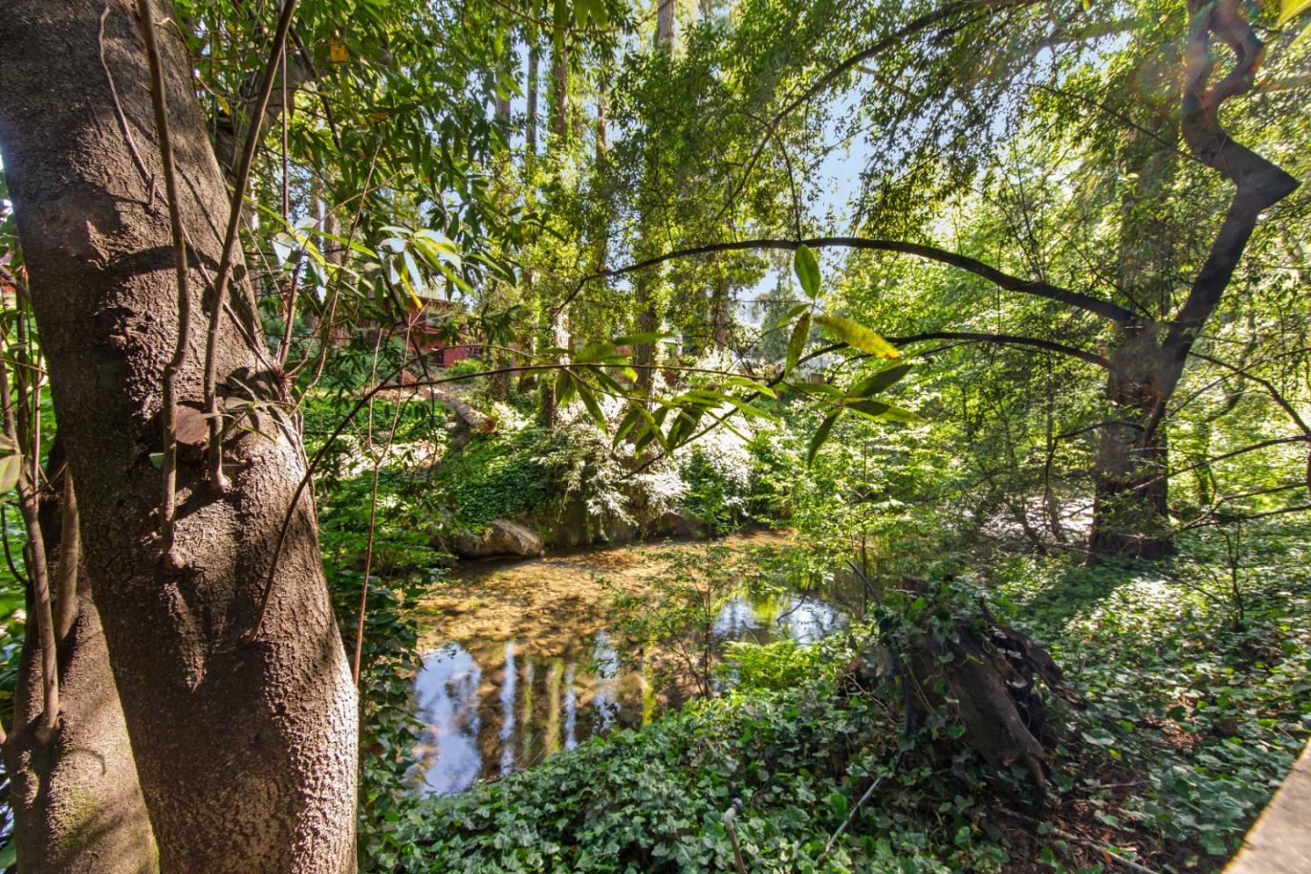 Detail Gallery Image 49 of 53 For 13395 W Park Ave, Boulder Creek,  CA 95006 - 6 Beds | 4 Baths