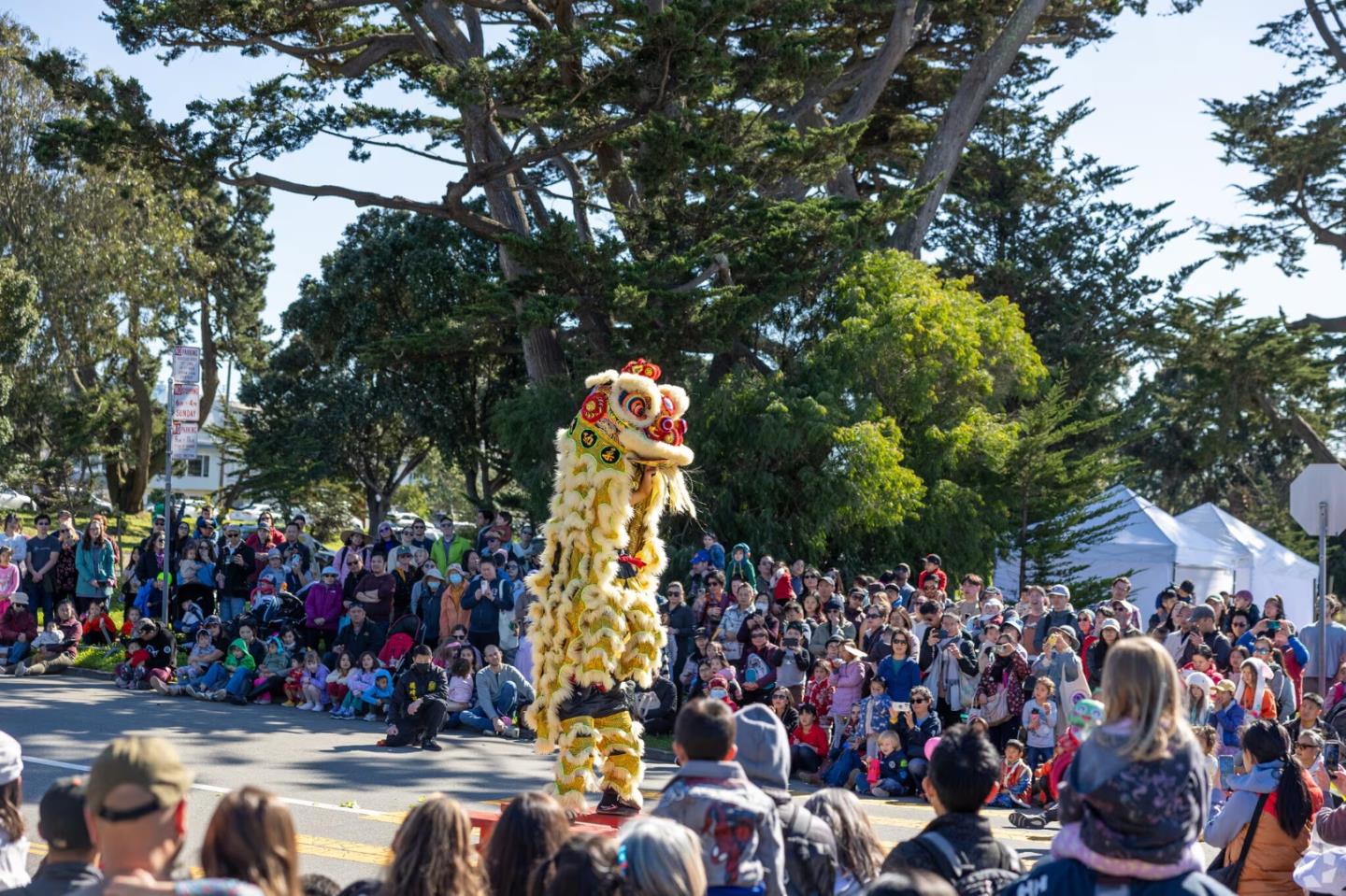 Detail Gallery Image 118 of 125 For 2271 40th Ave, San Francisco,  CA 94116 - 4 Beds | 4 Baths