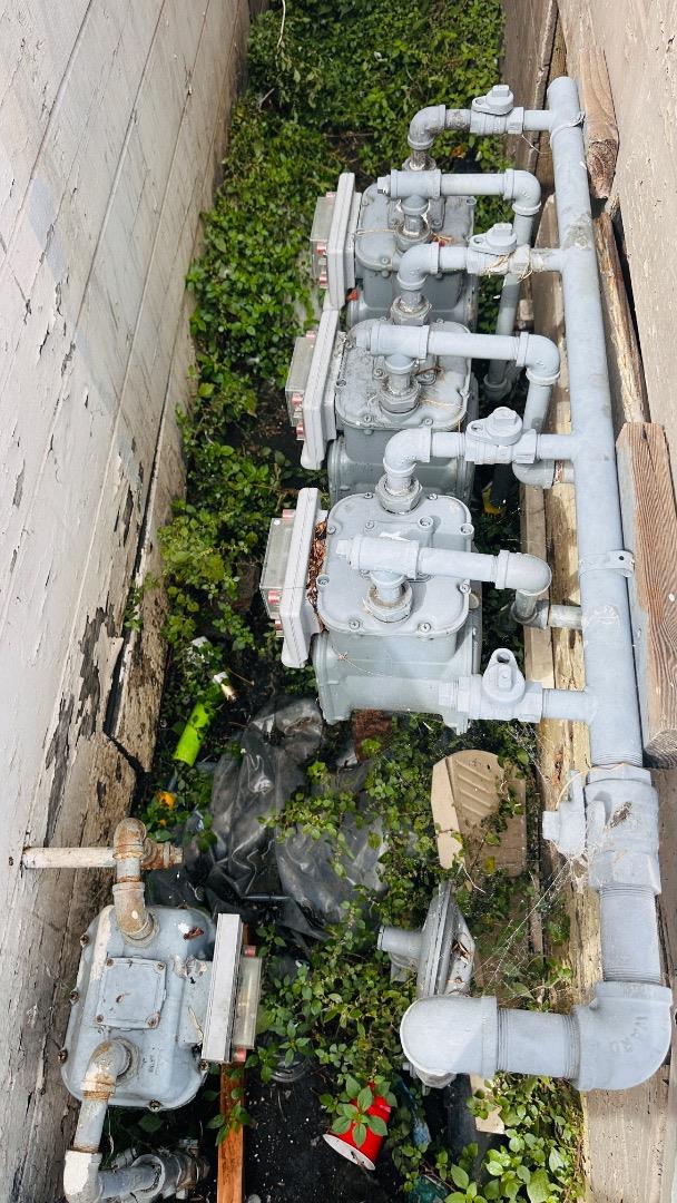 Detail Gallery Image 12 of 15 For 1439 38th Ave, Oakland,  CA 94601 - – Beds | – Baths