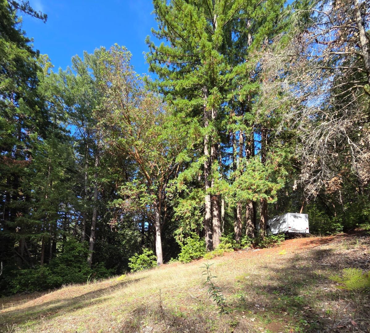 Detail Gallery Image 10 of 23 For 1140 Warren Dr, Santa Cruz,  CA 95060 - – Beds | – Baths