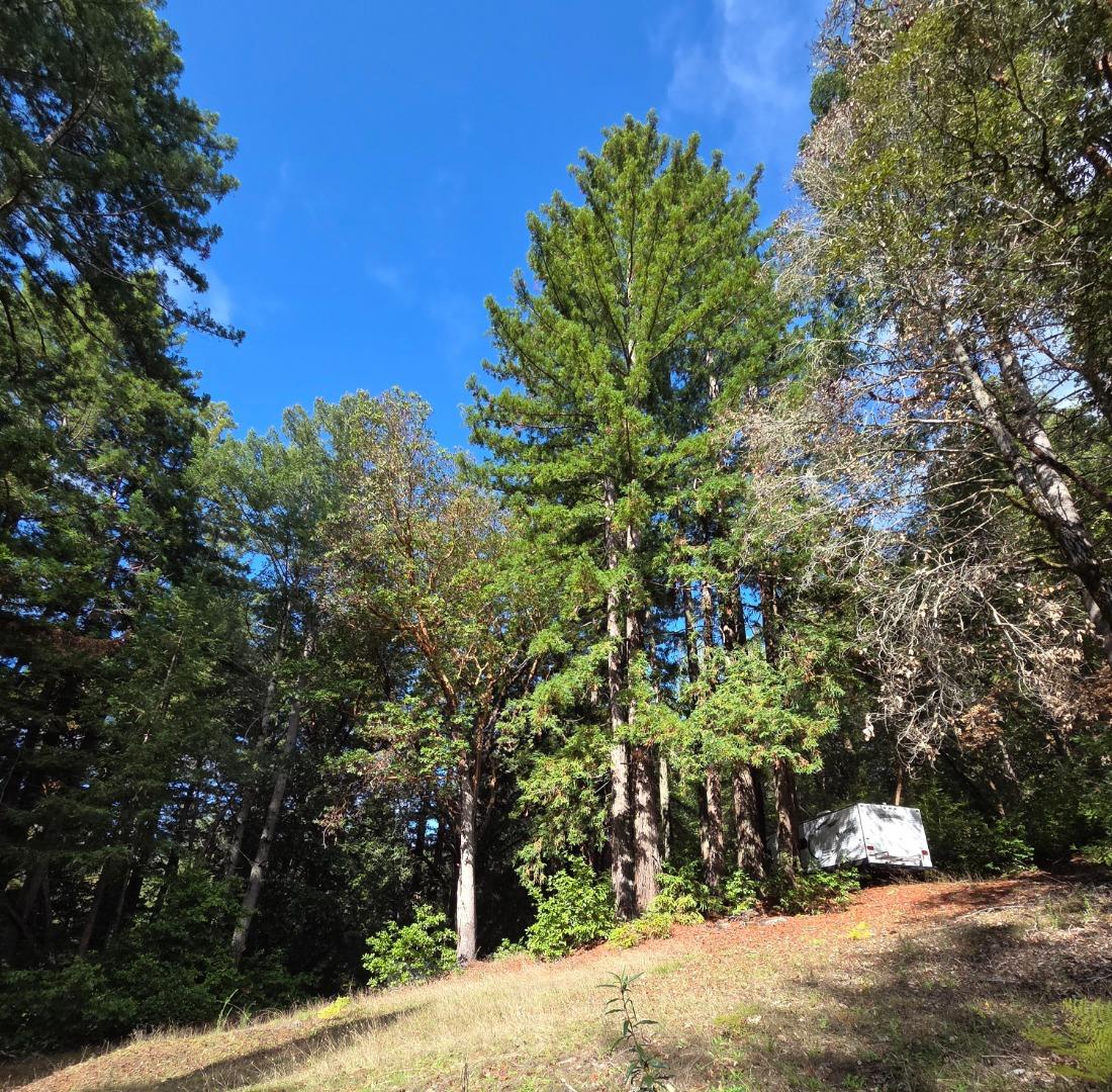 Detail Gallery Image 11 of 23 For 1140 Warren Dr, Santa Cruz,  CA 95060 - – Beds | – Baths