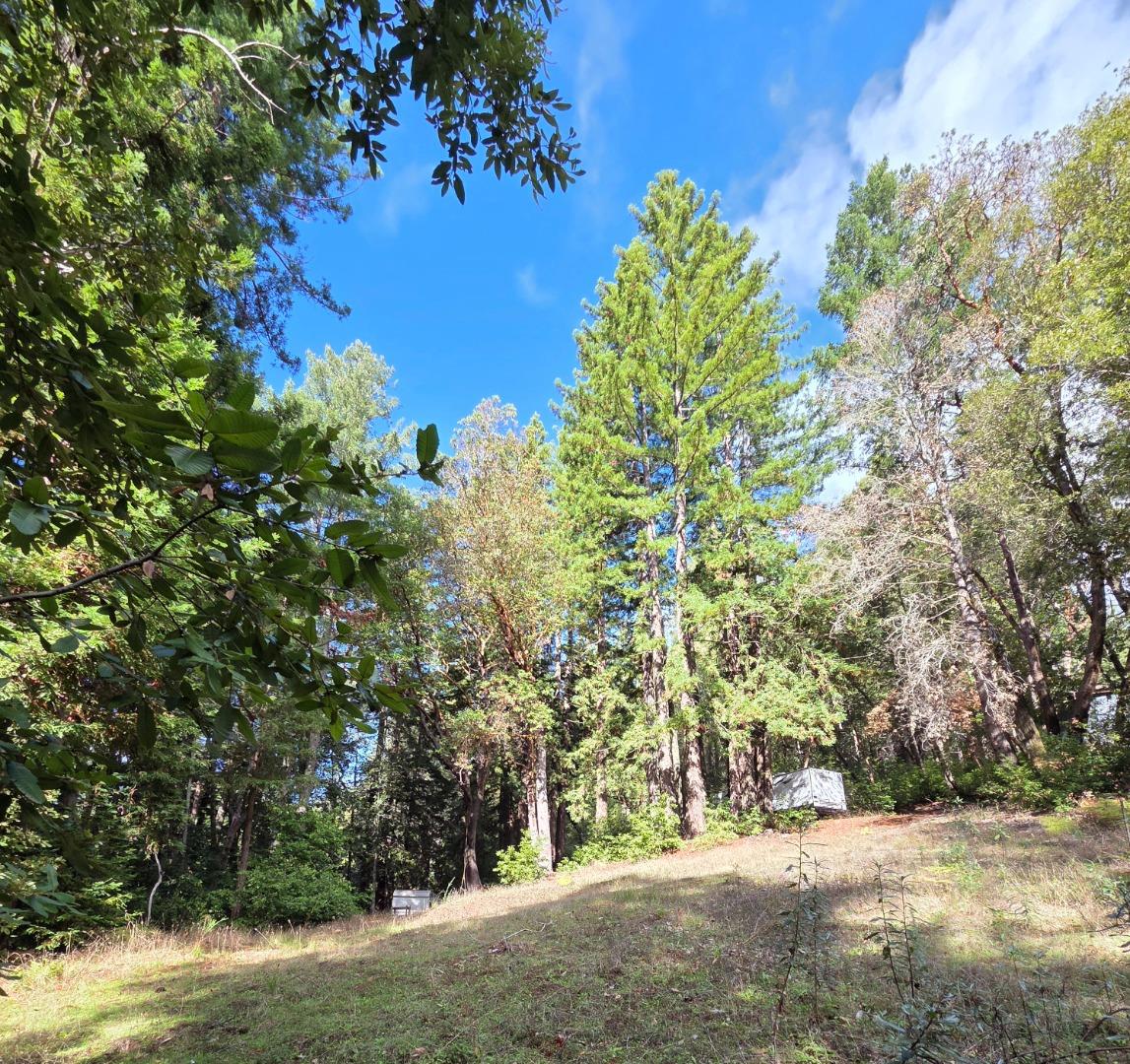 Detail Gallery Image 12 of 23 For 1140 Warren Dr, Santa Cruz,  CA 95060 - – Beds | – Baths