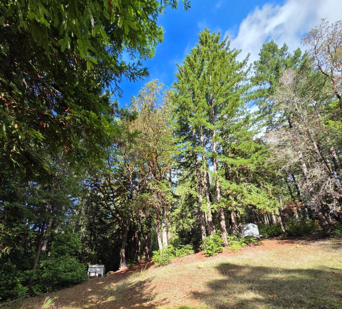 Detail Gallery Image 13 of 23 For 1140 Warren Dr, Santa Cruz,  CA 95060 - – Beds | – Baths